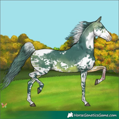 Horse Color:Watercolor Bay Splash Tobiano 