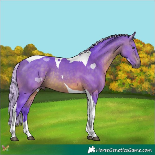 Horse Color:Watercolor Silver Brown Tobiano 