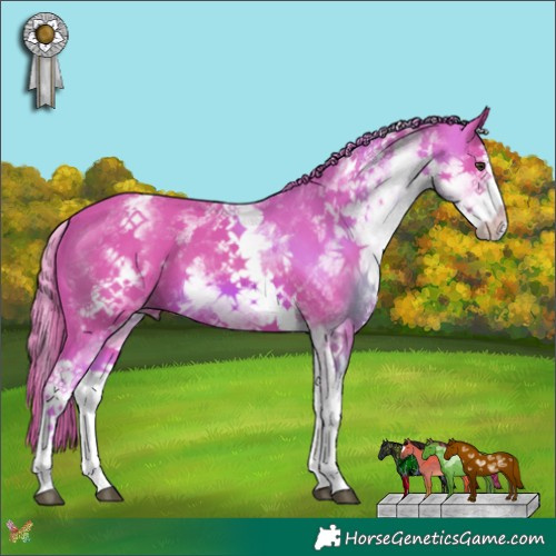 Horse Color:Watercolor White Spotted Chestnut Splash 