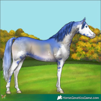 Horse Color:Watercolor Blue Onyx Splash 