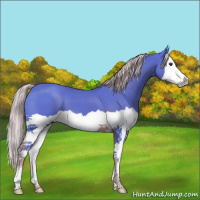 Horse Color:Watercolor Chocolate Palomino Splash