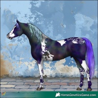 Horse Color:Watercolor Midnight Brown Splash Tobiano