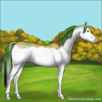 Horse Color:Platinum Watercolor Chocolate Buckskin Onyx Splash