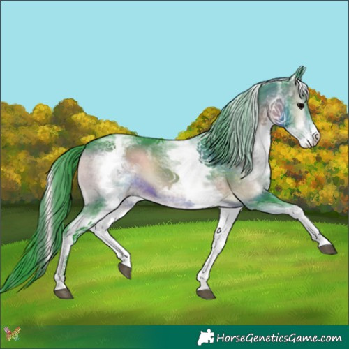 Horse Color:Watercolor White Spotted Brown Onyx 