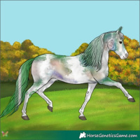 Horse Color:Watercolor White Spotted Brown Onyx 