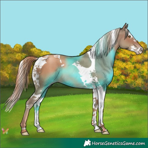 Horse Color:Gold Champagne Splash Tobiano 