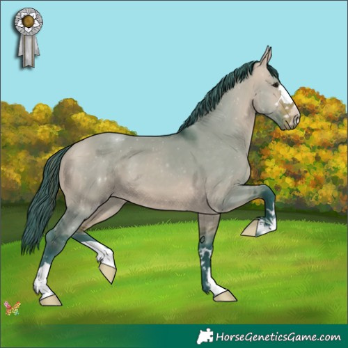 Horse Color:Watercolor Bay Dun 