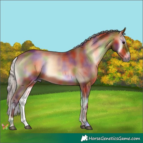 Horse Color:Nacre Silver Brown Onyx 