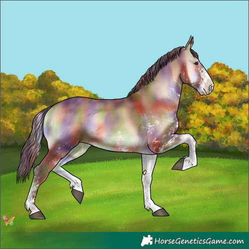 Horse Color:Nacre White Spotted Red Onyx 