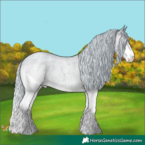 Horse Color:Watercolor Silver Amber Champagne Roan Splash 