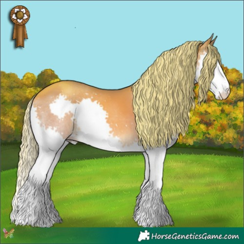 Horse Color:Watercolor Gold Champagne Splash 