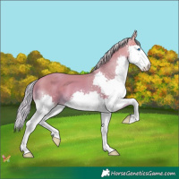 Horse Color:Watercolor Silver Sable Champagne Splash