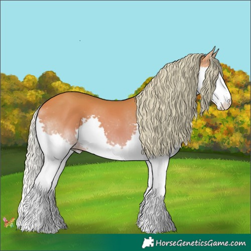 Horse Color:Watercolor Silver Amber Champagne Splash 