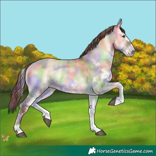 Horse Color:Nacre White Spotted Red Dun Onyx 