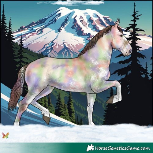 Horse Color:Nacre White Spotted Red Dun Onyx 