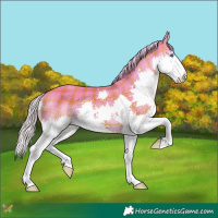 Horse Color:Plaid Silver Amber Champagne Splash