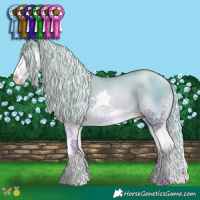 Horse Color:Watercolor Palomino Pearl Splash 