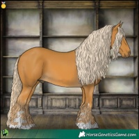 Horse Color:Palomino