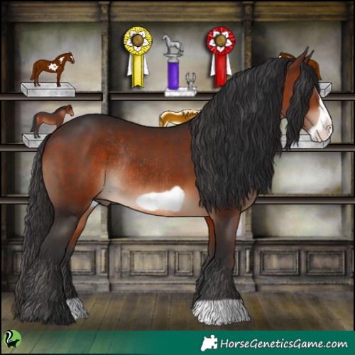 Horse Color:Brown Frame Rabicano 