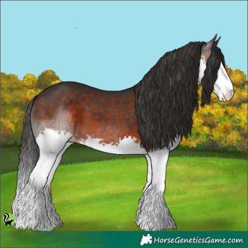 Horse Color:Brown Splash