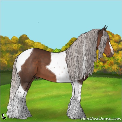Horse Color:Silver Brown Tobiano 