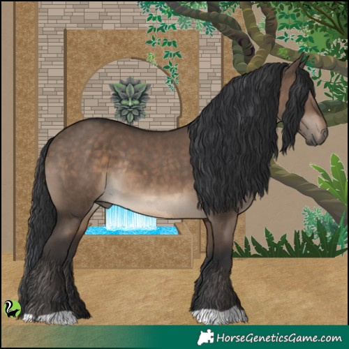 Horse Color:Brown Dun Rabicano 
