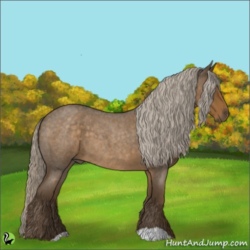 Horse Color:Chocolate Palomino Roan 