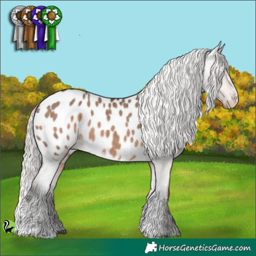 Horse Color:Silver Brown Dun Sabino Appaloosa 