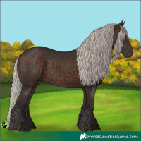 Horse Color:Silver Brown 