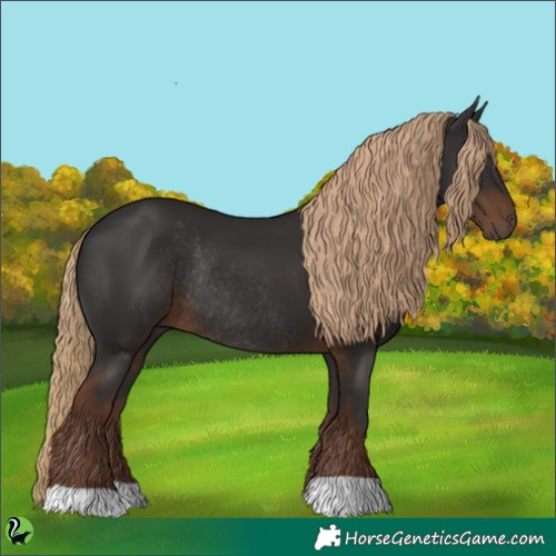 Horse Color:Liver Chestnut Rabicano