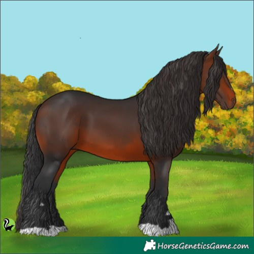 Horse Color:Brown 