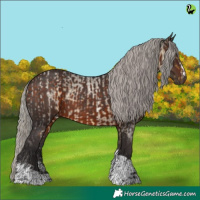 Horse Color:Silver Buckskin Roan Dun Sabino  and Silver Brown Sabino Tobiano 