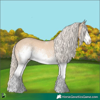 Horse Color:White Spotted Cremello 