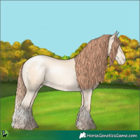 Horse Color:White Spotted Sable Cream Champagne Pearl 
