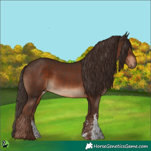Horse Color:Liver Chestnut Sabino
