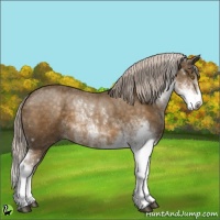 Horse Color:Chocolate Palomino Sabino