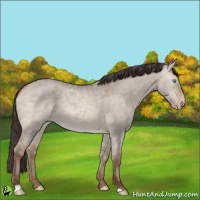 Horse Color:Amber Champagne Dun Sabino
