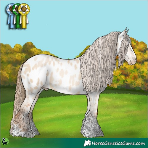 Horse Color:White Spotted Red Dun Pearl Sabino Appaloosa 