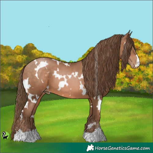 Horse Color:White Spotted Brown Pearl 