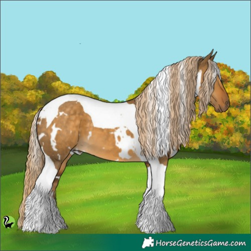 Horse Color:White Spotted Chocolate Palomino Dun Tobiano 