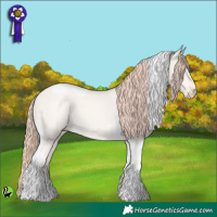 Horse Color:Perlino Dun Tobiano 