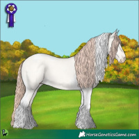 Horse Color:Perlino Dun Tobiano 