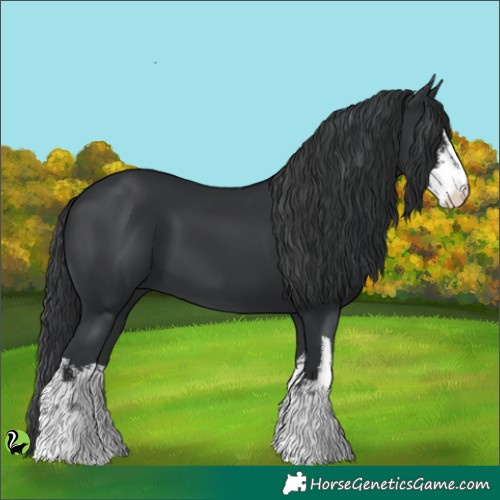 Horse Color:White Spotted Black 