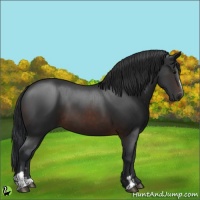 Horse Color:Brown Sabino 