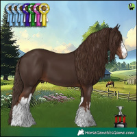 Horse Color:White Spotted Liver Chestnut 