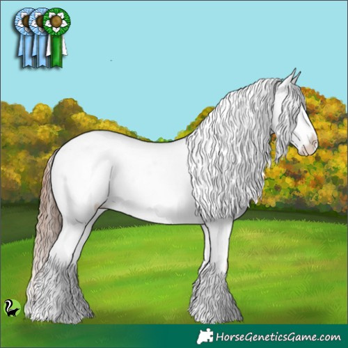 Horse Color:Amber Champagne Appaloosa 