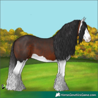 Horse Color:Brown Splash 