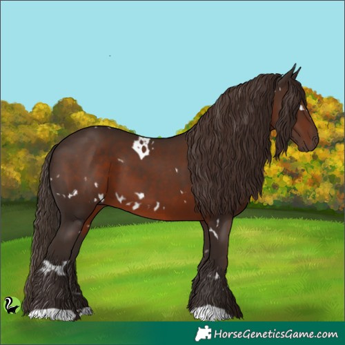 Horse Color:White Spotted Liver Chestnut 