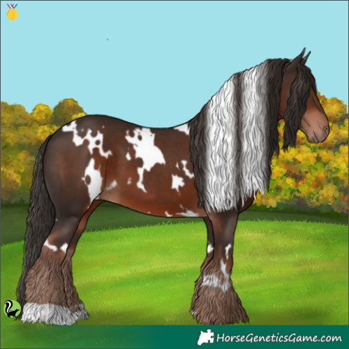 Horse Color:White Spotted Liver Chestnut 