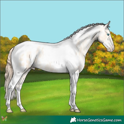 Horse Color:Sable Cream Champagne Roan Pearl Tobiano Appaloosa 
